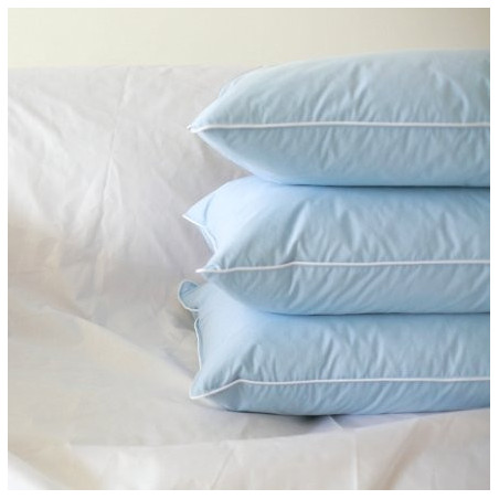 Pīļu 5 % dūnu 95 % spalvu spilvens Terra cena