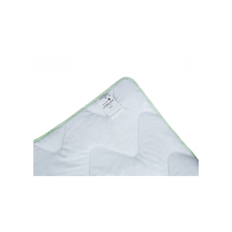 Sega ar alveju ALOE VERA