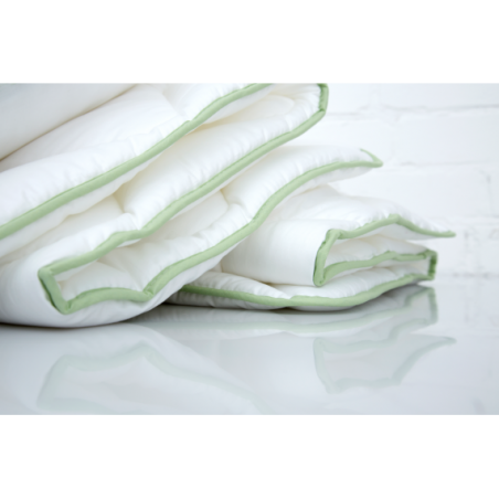 Sega ar alveju ALOE VERA