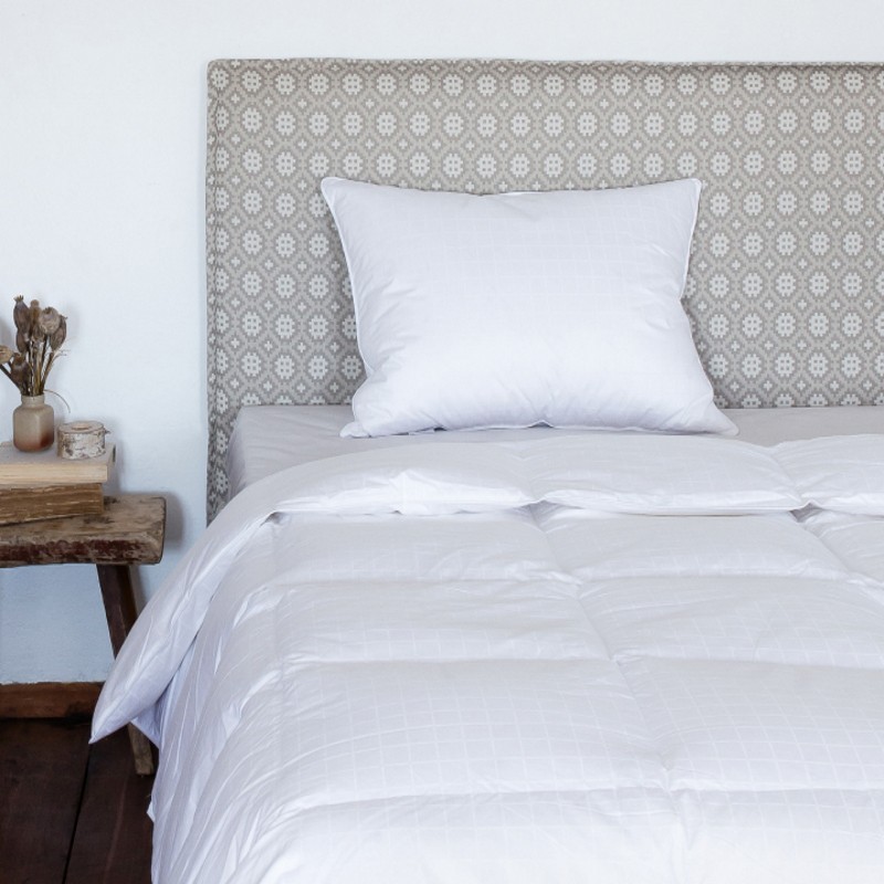 Dūnu un spalvu sega DESIRE