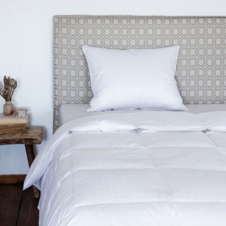 Bērnu dūnu un spalvu sega DESIRE cena