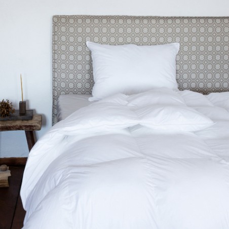 Sintētiska sega AMBITION cena