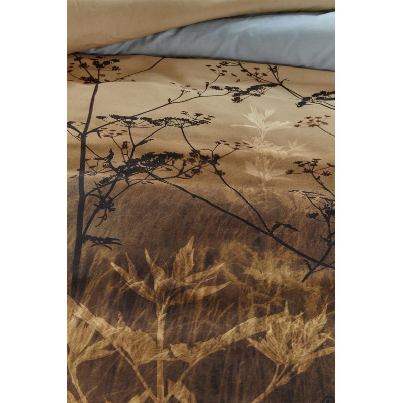 Gultas veļas komplekts Judy Brown