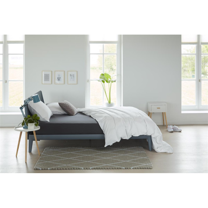 BH Jersey HL Anthracite aprīkota palags