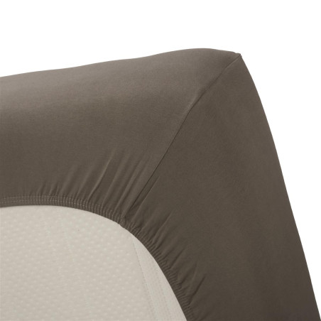 Palags ar gumiju Lycra HL Warm Grey cena