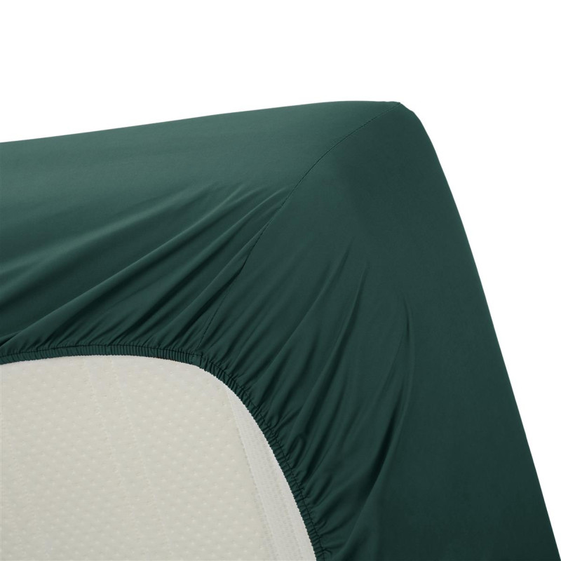 Cotton Uni HL Dark Green aprīkota palags