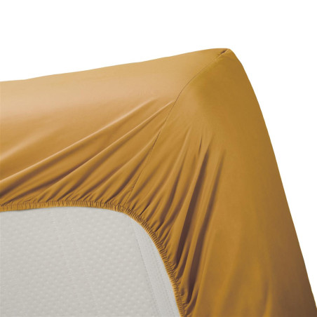 Cotton Uni HL Ochre aprīkota palags cena