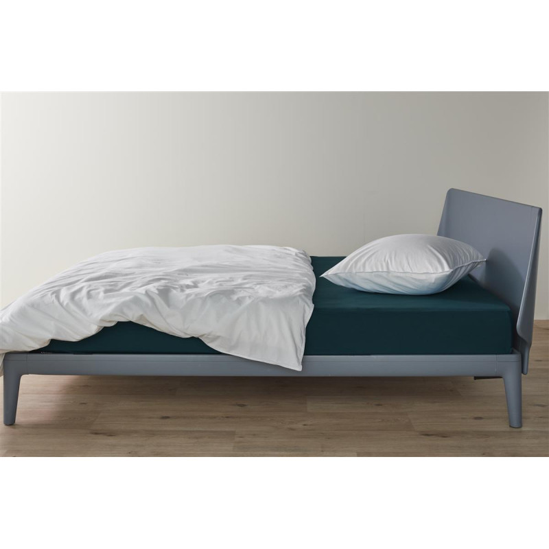 Jersey HL Sea Green aprīkota palags