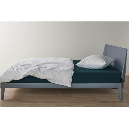 Jersey HL Sea Green aprīkota palags internetā