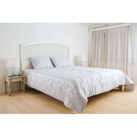 Sega Lavanda Medium internetā