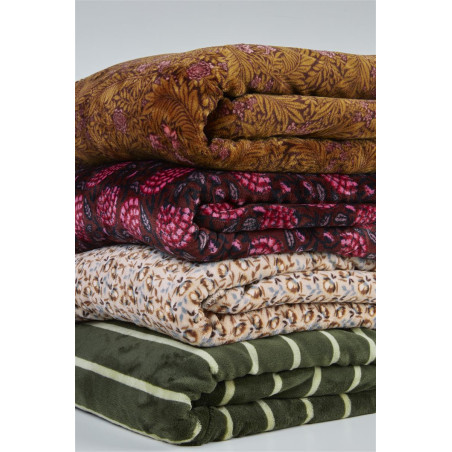 Pleds Felien Natural internetā