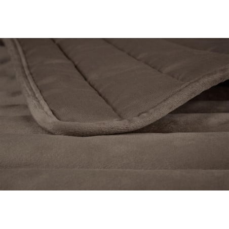 Gultas pārklājs Confer Grey