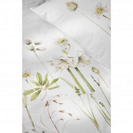 Spilvendrāna Amaryllis White