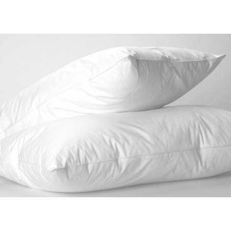 Zosu dūnu-spalvu spilvens WHITE internetā